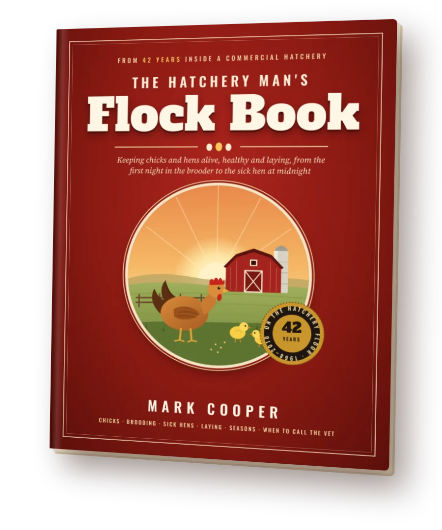 The Hatchery Man's Flock Book cover: a hen and chicks in front of a red barn at sunrise